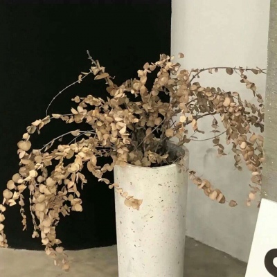 兽设星空场景设计Furry群